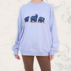 brandy Melville Yosemite crewneck sweatshirt blue